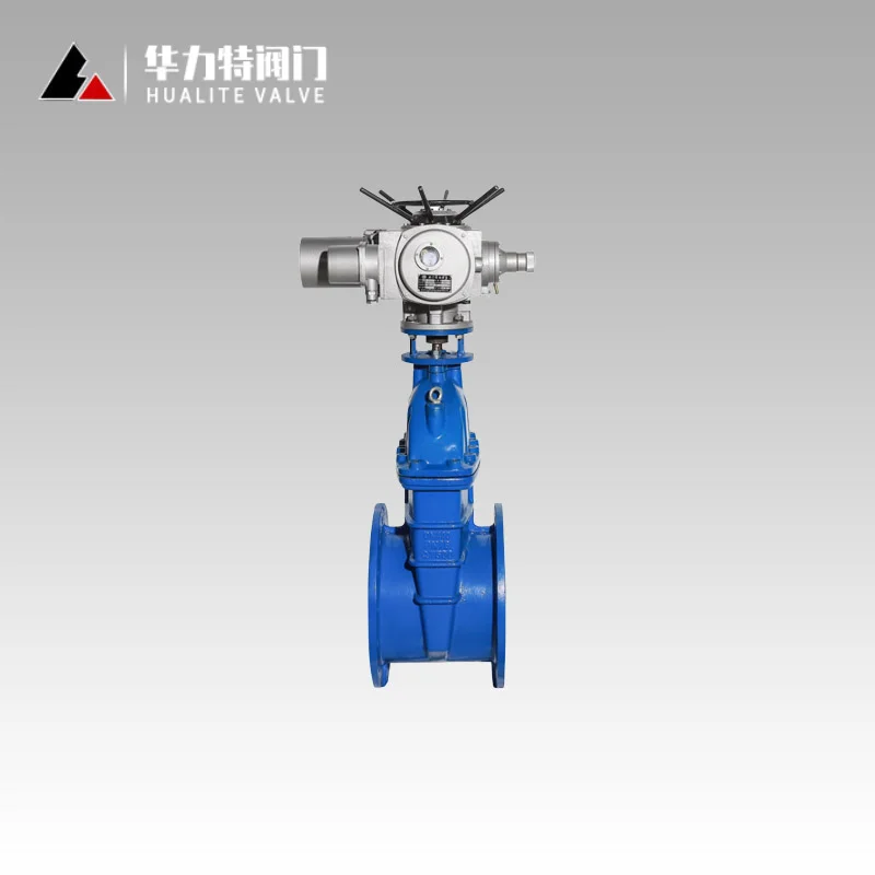 電動軟密封閘閥